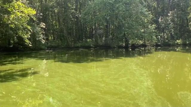 Stakeholders search for solutions to degrading water quality in NC