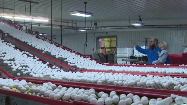 Egg prices soar amid inflation, avian flu outbreak