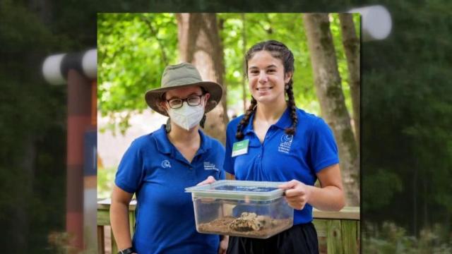 NC Zoo taking internship applications for 2023