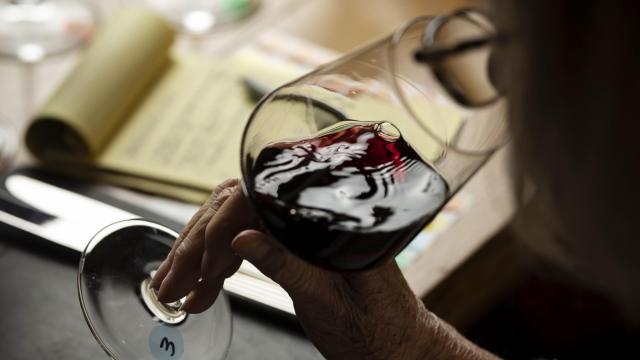 Research shows 2 glasses of wine unlikely to have put auditor over the legal limit