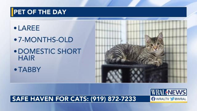 Pet of the Day for Nov. 28, 2022