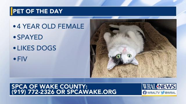 Pet of the Day for Dec. 1, 2022