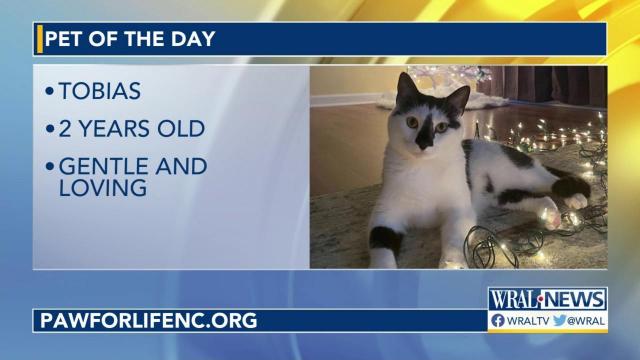 Pet of the Day: Dec. 3