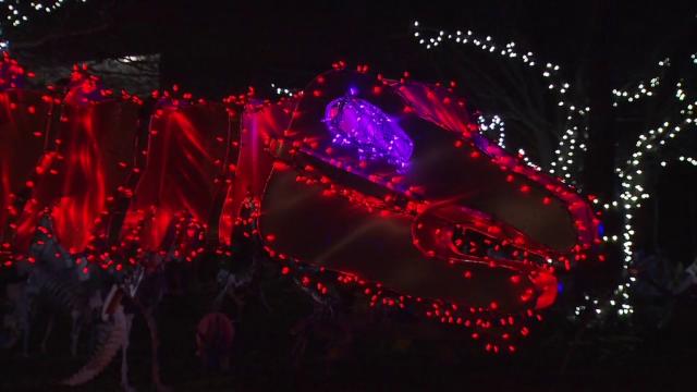 Dinosaurs light up the night at Wayne County Christmas light show