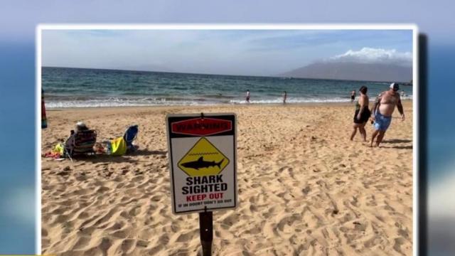 Search for missing woman ends after shark attack in Maui