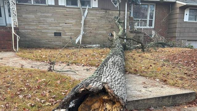 Wind downs trees, knocks out power on bitter cold Christmas weekend