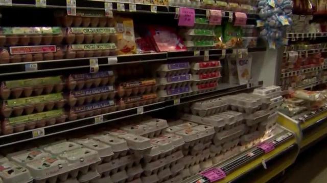 Survey: A third of families say rising food costs leads to kids not eating enough