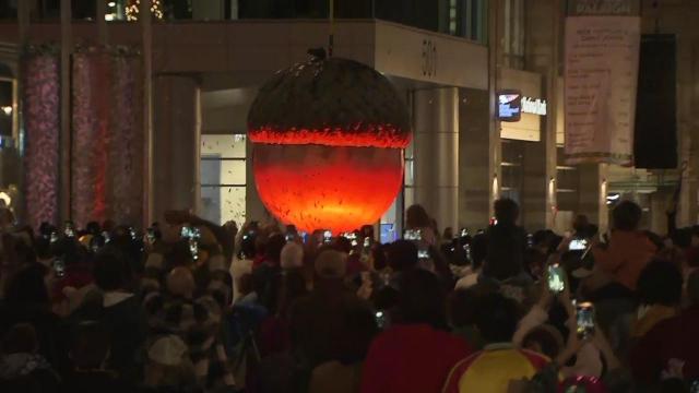 Early acorn drop lights up downtown Raleigh