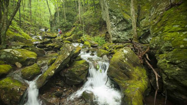 Facing opposition, feds shape future for popular NC forestland 