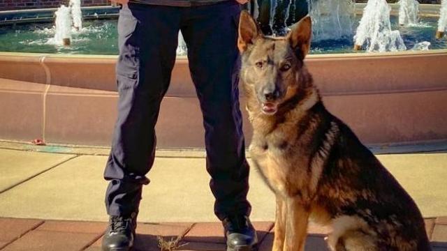 K9, contract workers and first responders help lost four-year old locate home