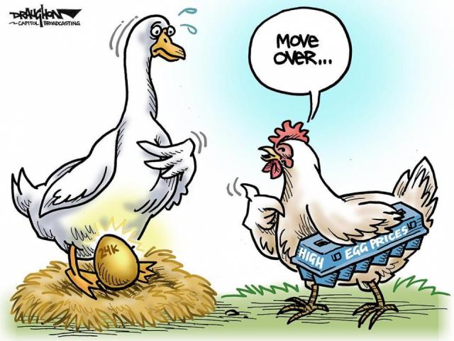 DRAUGHON DRAWS: Now chickens are laying golden eggs!