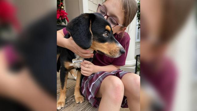 Dog adoption moves daughter to tears