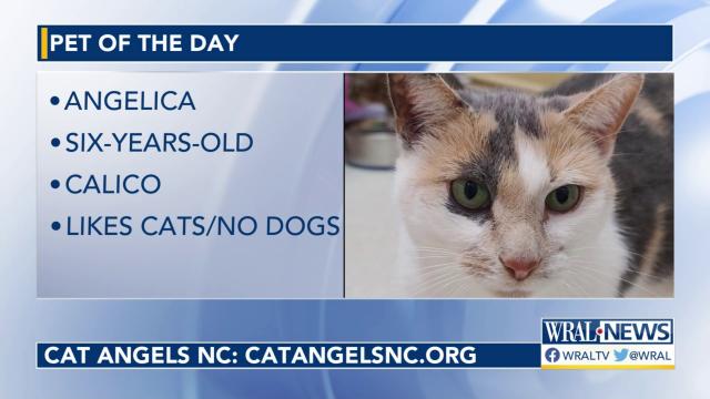 Pet of the Day for February 1, 2023