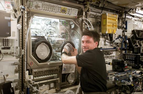 Expedition 8 Commander and Science Officer Michael Foale conducts an inspection of the Microgravity Science Glovebox/Exchangeable Standard Electronic Module (ESEM) in the Destiny laboratory of the International Space Station. (image: NASA)
