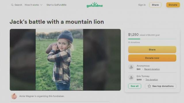 Mother rescues child from mountain lion attack