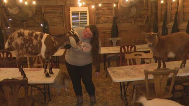 Wilson County farmer's 'goat grams' add eastern NC feel to Valentine's Day