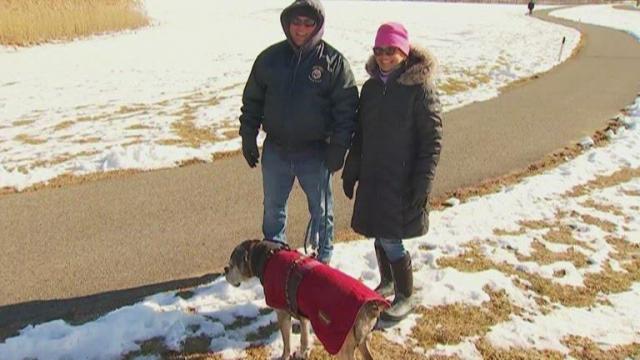 How to keep pets safe in the cold weather