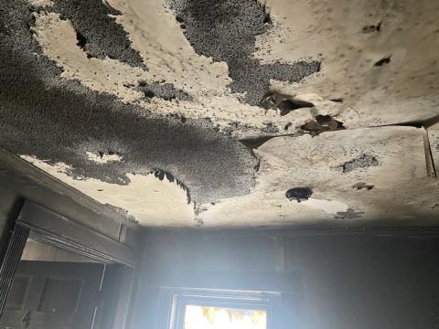 The Self Discovery Transitional Living Program's home on Dunbar Street was destroyed in a February fire. The Durham-based nonprofit is asking for the community's help.