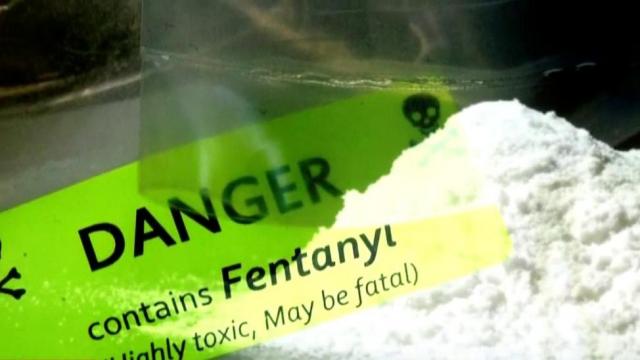 As overdose deaths climb, new statewide unit could be created to handle fentanyl cases 