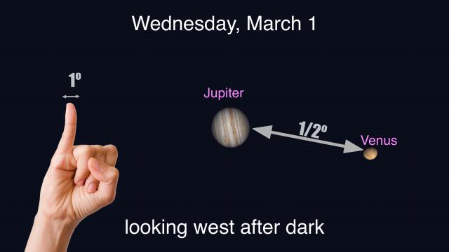 Look for Venus alongside Jupiter tonight