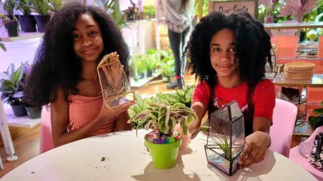 Downtown Mebane is home to tropical plant boutique