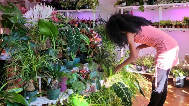 Metanoia has a plant lab -  a do-it-yourself plant potting and a terrarium crafting activity station. (Tandra Wilkerson)