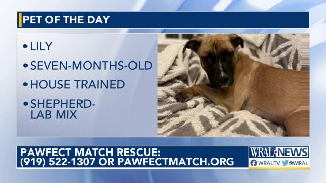 Pet of the Day for March 7, 2023