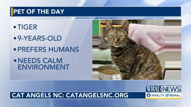 Pet of the Day for March 6, 2023