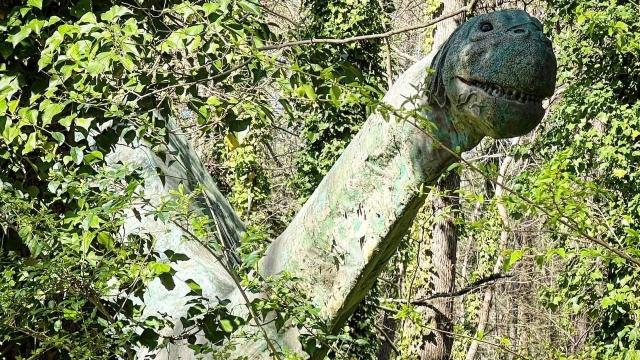 Hidden dinosaur: Life-sized brontosaurus from 1960s still roams Durham woods