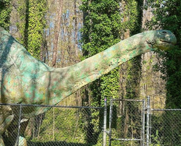 Durham dinosaur: Bronto is still hidden in the woods near the Museum of Life & Science at Northgate Park.