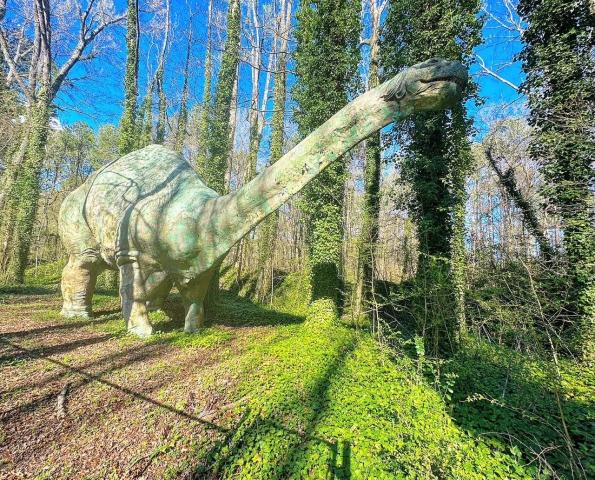 Durham dinosaur: Bronto is still hidden in the woods near the Museum of Life & Science at Northgate Park.