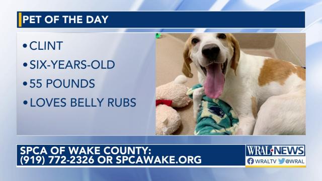 Pet of the Day for March 9, 2023