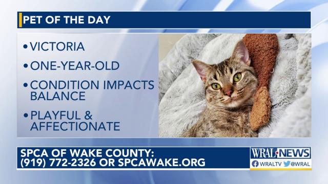 Pet of the Day for March 10, 2023