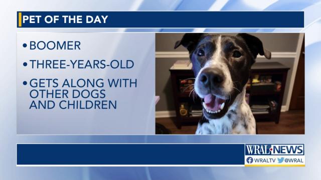 Pet of the Day: March 14