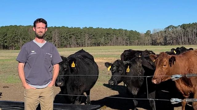 Kinston livestock veterinarian credits NC State College of Veterinary Medicine for encouragement and direction