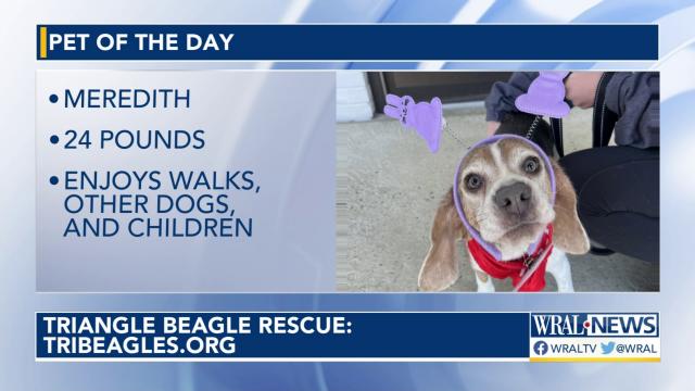 Pet of the Day: March 28