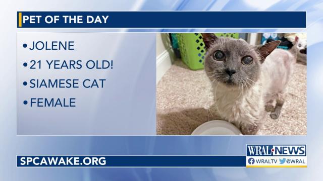 Pet of the Day for March 30, 2023