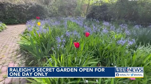 Raleigh's secret garden