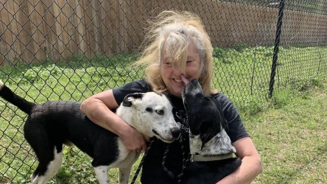 'It's a blessing': NC woman coverts home to dog rescue