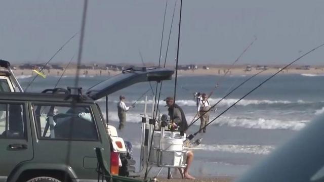 House Bill 544 would limit shark fishing along NC beaches