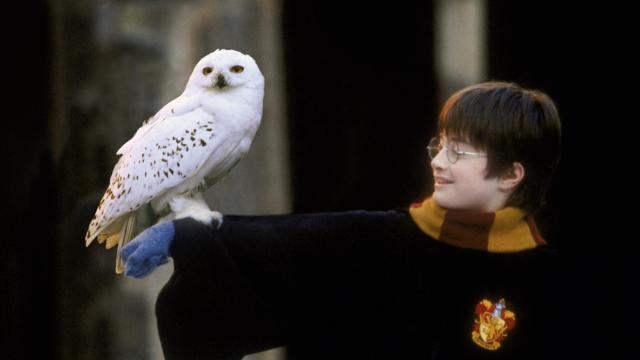 Harry Potter film concert series to play DPAC