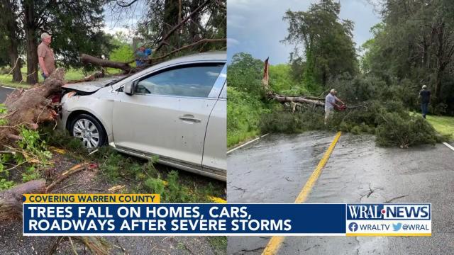 Trees fall on Warren County homes, cars and roadways after severe storms