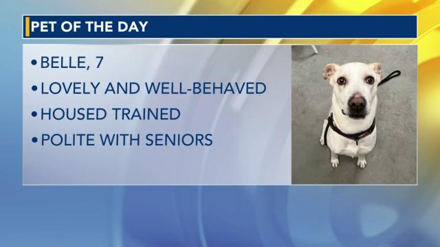 Pet of the Day for May 11, 2023