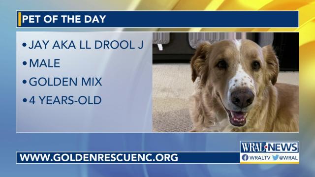 Pet of the Day: May 13, 2023