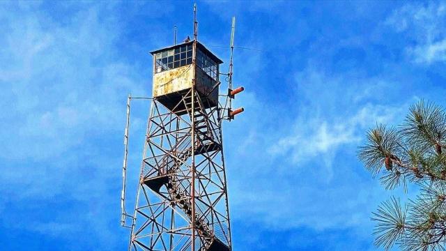 Vacant forest fire tower hidden in north Raleigh neighborhood nearly 100 years old 