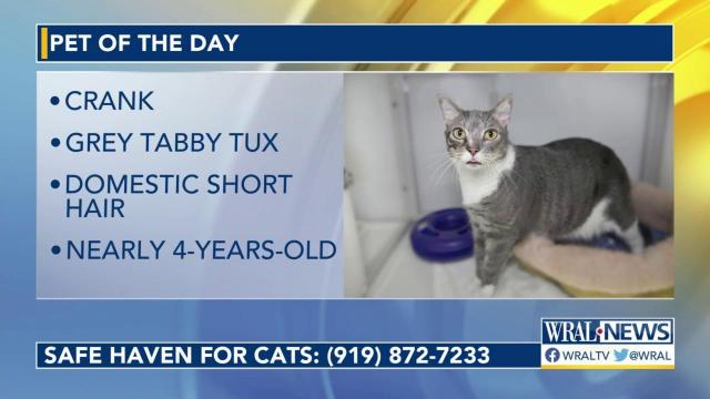 Pet of the Day, May 22, 2023