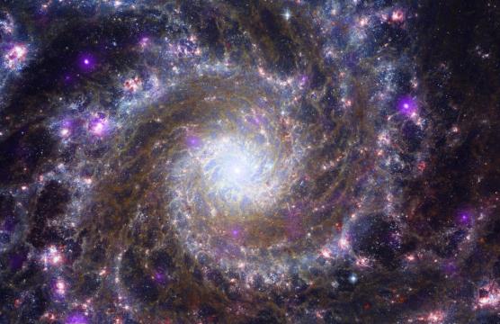 Five space telescopes combine to deliver dazzling galactic views