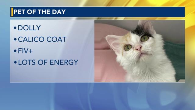 Pet of the Day: May 24