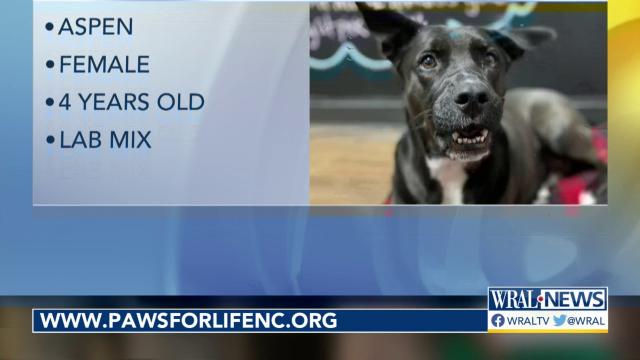Pet of the Day: May 24, 2023