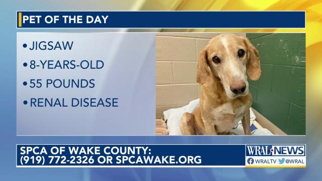 Pet of the Day: May 26, 2023